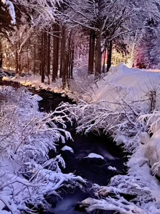 La Casetta Sulla Neve Abetone Kültér fotó
